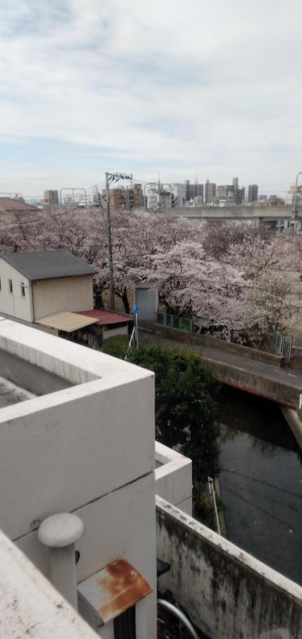 אוקיאמה Cherry Blossom Koseicho מראה חיצוני תמונה