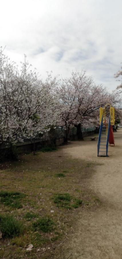 אוקיאמה Cherry Blossom Koseicho מראה חיצוני תמונה